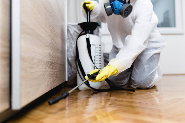 Best Wasp Removal Services  in Palmetto Estates, FL