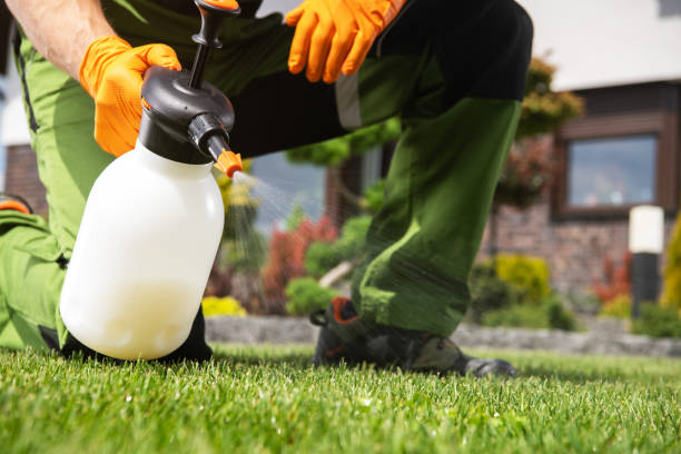 Best Exterminator Services  in Palmetto Estates, FL