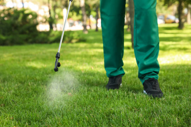 Best Spider Control Near Me  in Palmetto Estates, FL