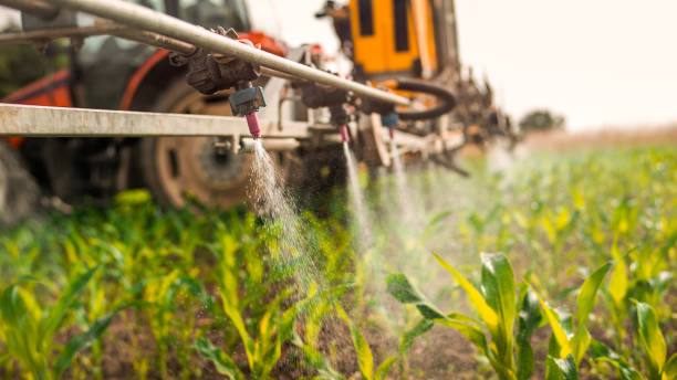 Best Ant Control Services  in Palmetto Estates, FL
