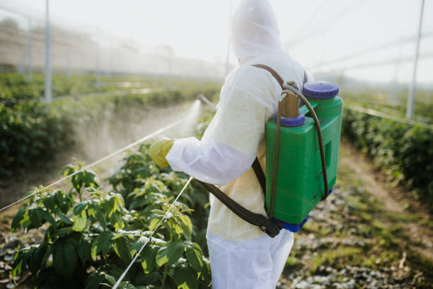 Best Mosquito Control Services  in Palmetto Estates, FL